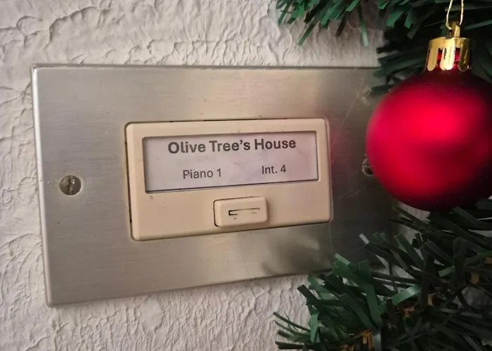 Olive Tree's House