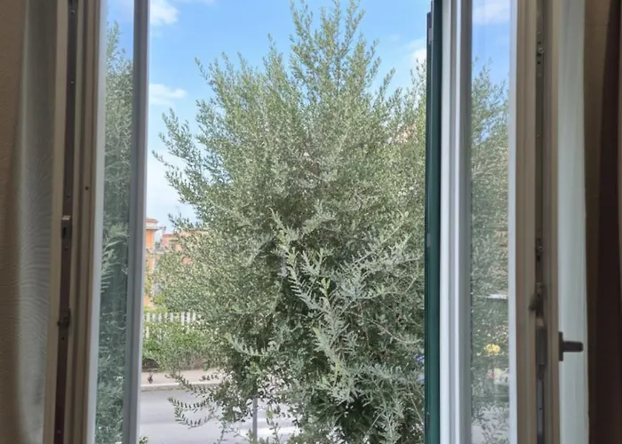 Olive Tree's House * Roma